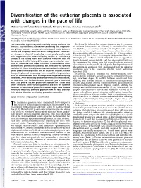 Diversification of the Eutherian Placenta Is Associated With
