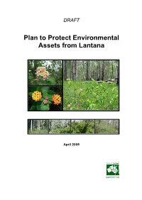 Plan to Protect Environmental Assets from Lantana