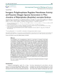 Inorganic Polyphosphates Regulate Hexokinase Activity and Reactive Oxygen Species Generation in Mito- Chondria of Rhipicephalus