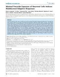 Minimal Peroxide Exposure of Neuronal Cells Induces Multifaceted Adaptive Responses