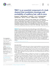 TMC1 Is an Essential Component of a Leak Channel That Modulates
