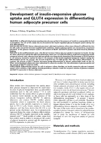 Development of Insulin-Responsive Glucose Uptake and GLUT4 Expression in Differentiating Human Adipocyte Precursor Cells