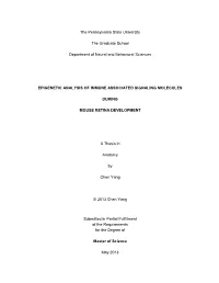 Open Chen-Thesis Finalv5.Pdf