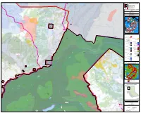 Tahltan FSP Map 3