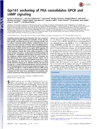 Gpr161 Anchoring of PKA Consolidates GPCR and Camp Signaling