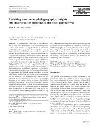Revisiting Amazonian Phylogeography: Insights Into Diversification Hypotheses and Novel Perspectives