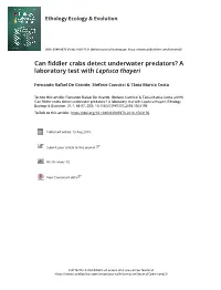Can Fiddler Crabs Detect Underwater Predators? a Laboratory Test with Leptuca Thayeri