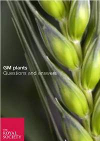 GM Plants Questions and Answers GM Plants: Questions and Answers Issued: May 2016 DES3710