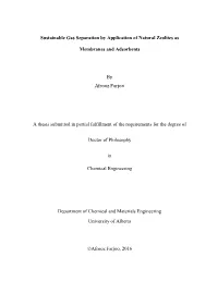 Sustainable Gas Separation by Application of Natural Zeolites As Membranes and Adsorbents by Afrooz Farjoo a Thesis Submitted In