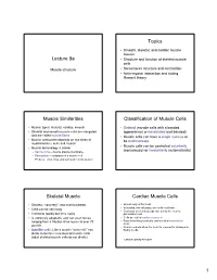 Classification of Muscle Cells