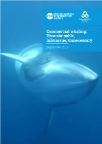Commercial Whaling: Unsustainable, Inhumane, Unnecessary September 2018 2 Efficiency Inthe Cooling Sector