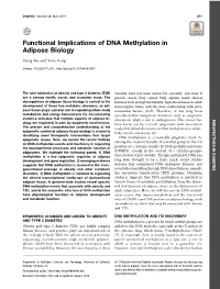 Functional Implications of DNA Methylation in Adipose Biology