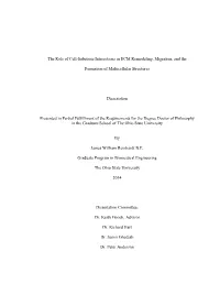 The Role of Cell-Substrate Interactions in ECM Remodeling, Migration, and The