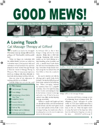 Cat Massage Therapy at Gifford Why Would a Cat Need to Be Massaged? Be Bothered with Us