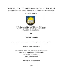 Downloads/Waterquality Policybrief.Pdf [Accessed on 31/05/2016]
