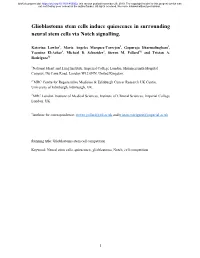 Glioblastoma Stem Cells Induce Quiescence in Surrounding Neural Stem Cells Via Notch Signalling