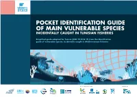 Pocket Identification Guide of Main Vulnerable Species Incidentally Caught in Tunisian Fisheries