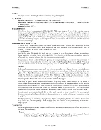 Name Synopsis Description Format of Noweb Files