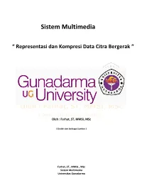 Representasi Dan Kompresi Data Citra Bergerak.Pdf