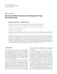 Bacterial Artificial Chromosome Mutagenesis Using Recombineering