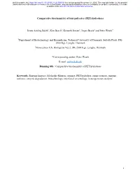 Comparative Biochemistry of Four Polyester (PET) Hydrolases