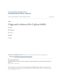 Origin and Evolution of the Cepheus Bubble NA Patel