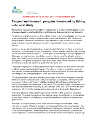 Penguin Bycatch Press Release