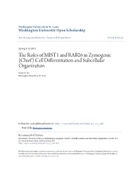 The Roles of MIST1 and RAB26 in Zymogenic (Chief) Cell Differentiation and Subcellular Organization" (2015)