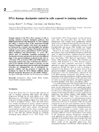 DNA Damage Checkpoint Control in Cells Exposed to Ionizing Radiation