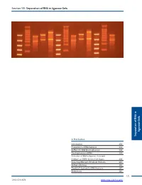 Section VIII: Separation of RNA in Agarose Gels
