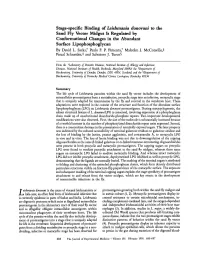 Stage-Specific Binding of Leishmania Donovani to the Sand Fly Vector