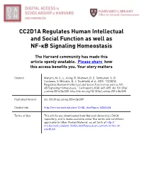 CC2D1A Regulates Human Intellectual and Social Function As Well As NF-Κb Signaling Homeostasis