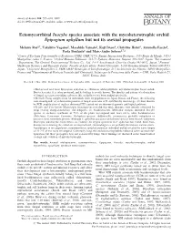 Ectomycorrhizal Inocybe Species Associate with the Mycoheterotrophic Orchid Epipogium Aphyllum but Not Its Asexual Propagules