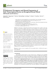 Evolutionary Divergence and Biased Expression Ofnac Transcription