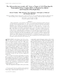 The Schizosaccharomyces Pombe Cdt2 Gene, a Target of G1-S Phase-Specific Transcription Factor Complex DSC1, Is Required for Mito