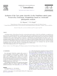 Asteraceae, Gnaphalieae) Based on a Molecular Phylogenetic Analysis ⁎ E.S