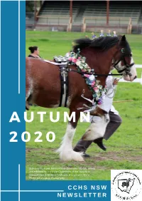 C C H S N S W N E W S L E T T E R Committee 2019/2020