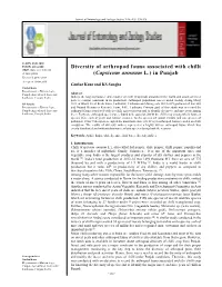 Diversity of Arthropod Fauna Associated with Chilli (Capsicum