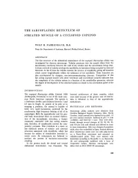 The Sarcoplasmic Reticulum of Striated Muscle of A