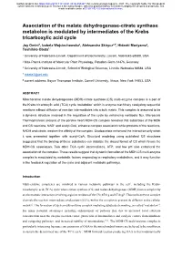 Association of the Malate Dehydrogenase-Citrate Synthase