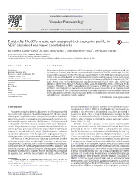 Endothelial Rhogefs: a Systematic Analysis of Their Expression Proﬁles in VEGF-Stimulated and Tumor Endothelial Cells