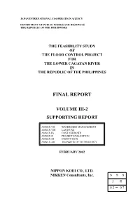 Final Report