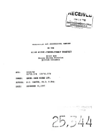 Geological and Geochemical Report on the Alice Nickel