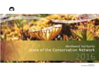 State of the Conservation Network Report 2016