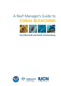 A Reef Manager's Guide to Coral Bleaching