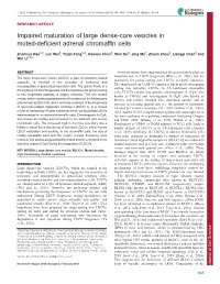 Impaired Maturation of Large Dense-Core Vesicles in Muted
