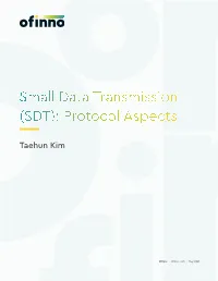 Small Data Transmission (SDT): Protocol Aspects