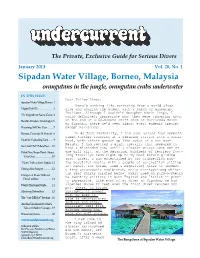 Undercurrent, January 2013