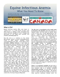 Equine Infectious Anemia What You Need to Know Answers to the Most Common Questions November 2013 and Myths About EIA, for Horse Owners