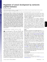 Regulation of Axonal Development by Natriuretic Peptide Hormones
